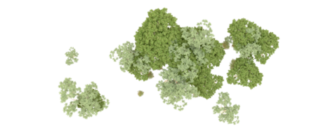 vert forêt isolé sur Contexte. 3d le rendu - illustration png