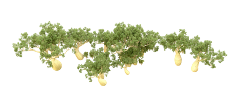 vert forêt isolé sur Contexte. 3d le rendu - illustration png