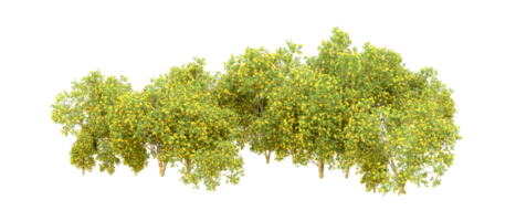 Grün Wald isoliert auf Hintergrund. 3d Rendern - - Illustration png