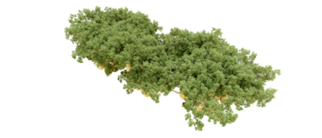 grön skog isolerat på bakgrund. 3d tolkning - illustration png