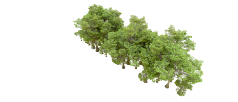 Grün Wald isoliert auf Hintergrund. 3d Rendern - - Illustration png