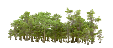 Green forest isolated on background. 3d rendering - illustration png