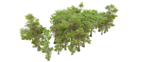 Green forest isolated on background. 3d rendering - illustration png