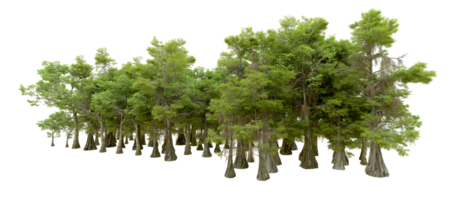 Green forest isolated on background. 3d rendering - illustration png