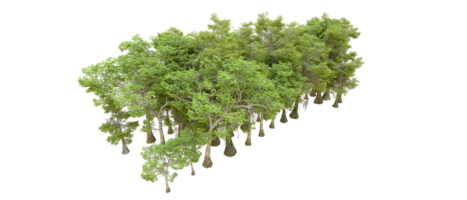 Green forest isolated on background. 3d rendering - illustration png