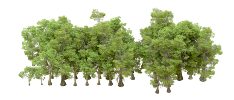 Green forest isolated on background. 3d rendering - illustration png