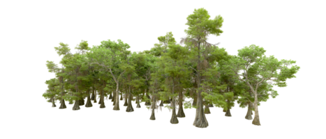 Green forest isolated on background. 3d rendering - illustration png