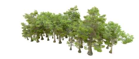Green forest isolated on background. 3d rendering - illustration png