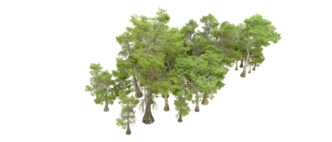 Green forest isolated on background. 3d rendering - illustration png