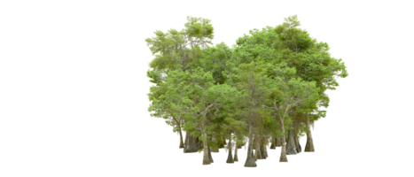 Green forest isolated on background. 3d rendering - illustration png