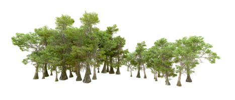 Green forest isolated on background. 3d rendering - illustration png