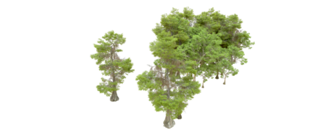 grön skog isolerat på bakgrund. 3d tolkning - illustration png