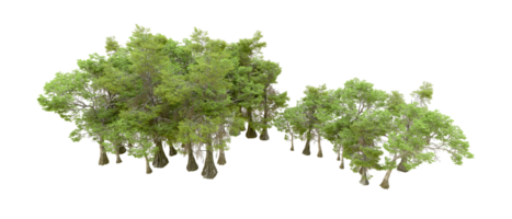 Green forest isolated on background. 3d rendering - illustration png