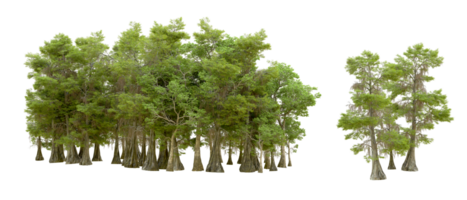 Green forest isolated on background. 3d rendering - illustration png