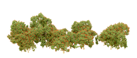 vert forêt isolé sur Contexte. 3d le rendu - illustration png