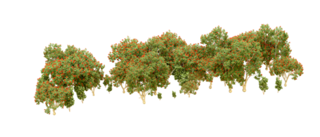 Grün Wald isoliert auf Hintergrund. 3d Rendern - - Illustration png