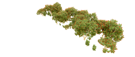 vert forêt isolé sur Contexte. 3d le rendu - illustration png