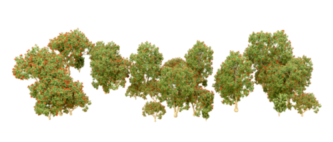 Grün Wald isoliert auf Hintergrund. 3d Rendern - - Illustration png