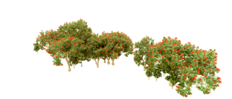 Grün Wald isoliert auf Hintergrund. 3d Rendern - - Illustration png