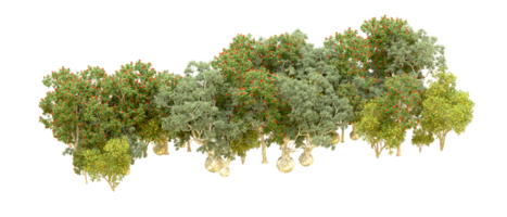 vert forêt isolé sur Contexte. 3d le rendu - illustration png