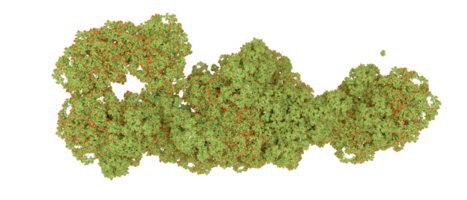 vert forêt isolé sur Contexte. 3d le rendu - illustration png