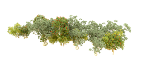 Grün Wald isoliert auf Hintergrund. 3d Rendern - - Illustration png