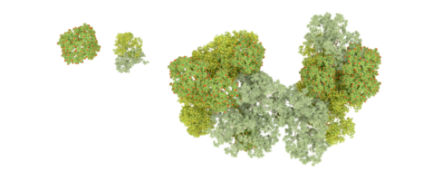 vert forêt isolé sur Contexte. 3d le rendu - illustration png