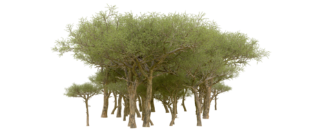 Green forest isolated on background. 3d rendering - illustration png