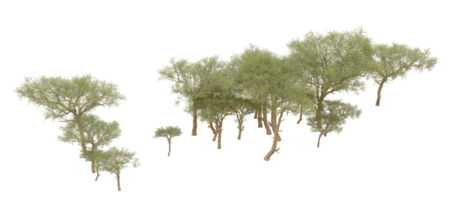 vert forêt isolé sur Contexte. 3d le rendu - illustration png