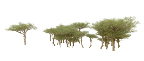 vert forêt isolé sur Contexte. 3d le rendu - illustration png