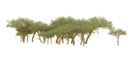 vert forêt isolé sur Contexte. 3d le rendu - illustration png