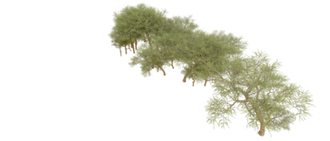 groen Woud geïsoleerd Aan achtergrond. 3d renderen - illustratie png