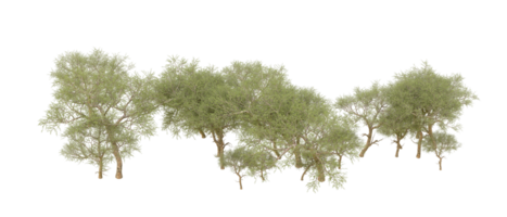 groen Woud geïsoleerd Aan achtergrond. 3d renderen - illustratie png