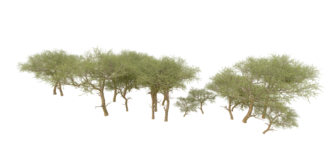 vert forêt isolé sur Contexte. 3d le rendu - illustration png