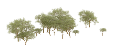 Green forest isolated on background. 3d rendering - illustration png