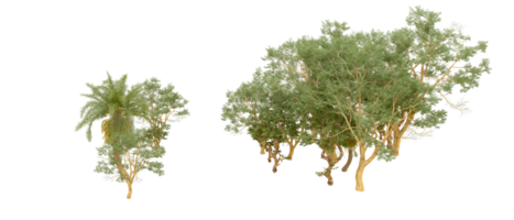 vert forêt isolé sur Contexte. 3d le rendu - illustration png