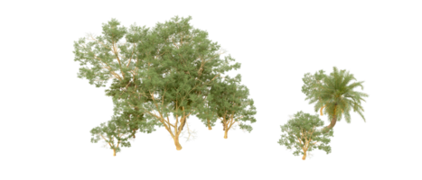 vert forêt isolé sur Contexte. 3d le rendu - illustration png