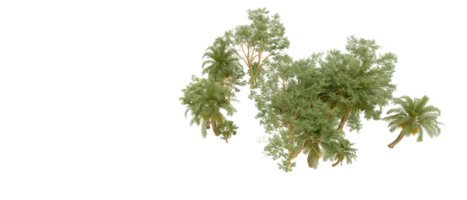 verde floresta isolado em fundo. 3d Renderização - ilustração png