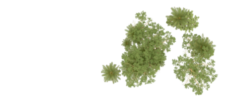 vert forêt isolé sur Contexte. 3d le rendu - illustration png