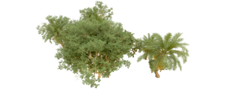 verde foresta isolato su sfondo. 3d interpretazione - illustrazione png