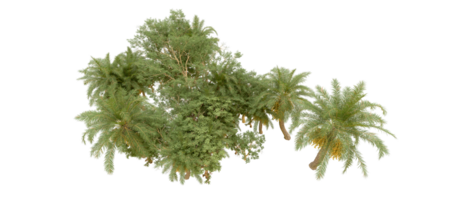 Grün Wald isoliert auf Hintergrund. 3d Rendern - - Illustration png