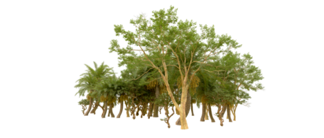 Green forest isolated on background. 3d rendering - illustration png