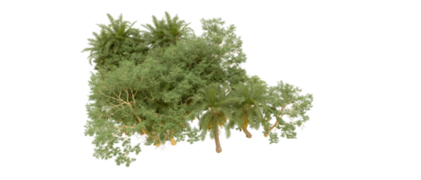 vert forêt isolé sur Contexte. 3d le rendu - illustration png