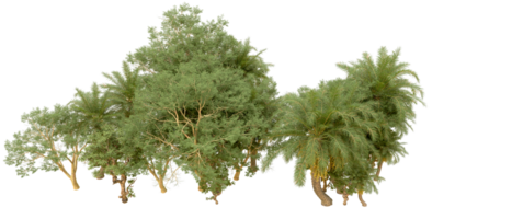 vert forêt isolé sur Contexte. 3d le rendu - illustration png