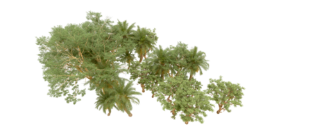 vert forêt isolé sur Contexte. 3d le rendu - illustration png