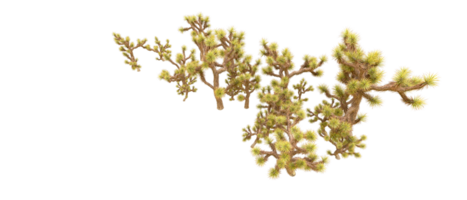 grön skog isolerat på bakgrund. 3d tolkning - illustration png