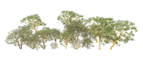 vert forêt isolé sur Contexte. 3d le rendu - illustration png