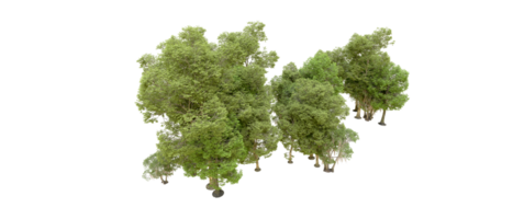 Green forest isolated on background. 3d rendering - illustration png