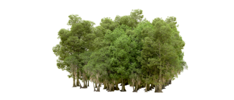 Green forest isolated on background. 3d rendering - illustration png