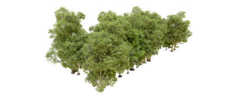 vert forêt isolé sur Contexte. 3d le rendu - illustration png